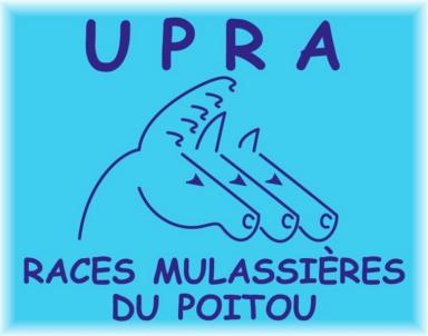 http://www.racesmulassieresdupoitou.com/LES_PAGES/page_accueil.htm