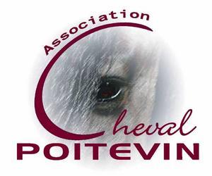 http://cheval-poitevin.over-blog.org/