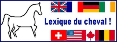 http://www.lexiqueducheval.net/lexique_sommaire.html