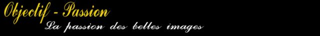 http://www.objectif-passion.com/