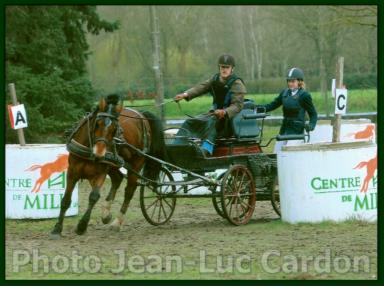 Concours des 27 et 28 mars 2010